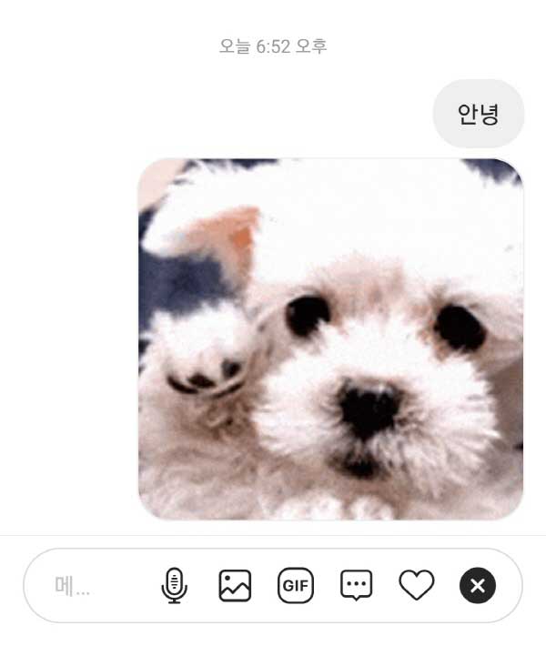 인스타그램GIF로DM대화하기_SNS팩토리 (4)