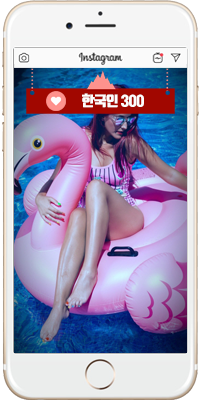 instagramlikes_ko300